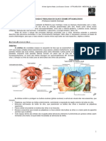 Semiologia 08 Oftalmologia Anatomiadoolhoeexamefsicopdf 120627042211 Phpapp01