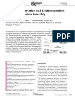 2008.macromolec Biosci - shi.ChitosanBiotinylation