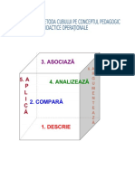 OBIECTIVELE SI Metodacubului