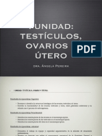 Histologia Aparato Reproductor 1 PDF