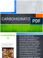 Carbohidratosexpo 36