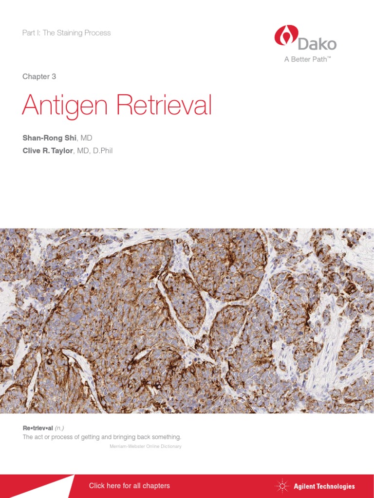 Ihc Guidebook Antigen Retrieval Chapter3 Immunohistochemistry