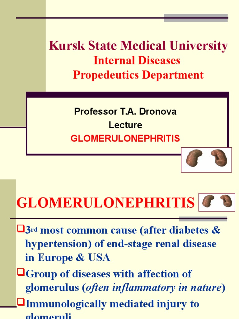 Overview of Glomerulonephritis Types | PDF | Kidney | Chronic Kidney ...