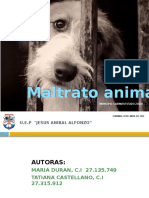 Maltrato Animal 1