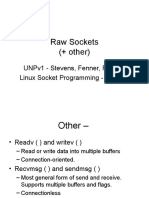 CS423 Raw Sockets BW