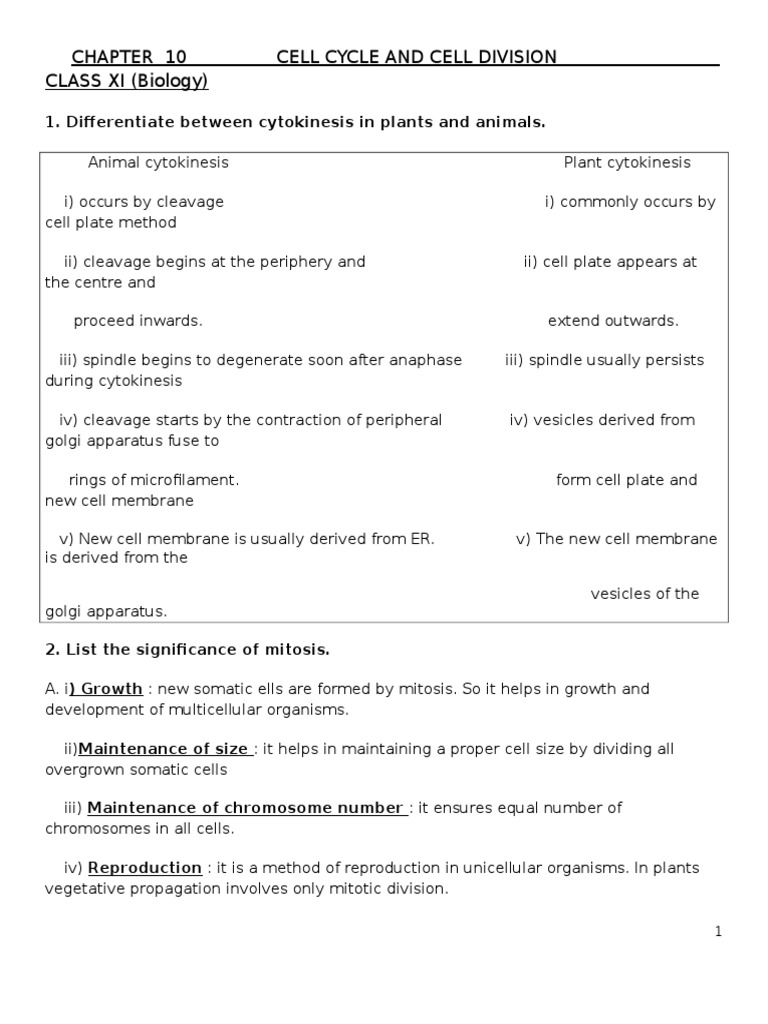 Cell Cycle and Division in Class XI | PDF | Meiosis | Mitosis