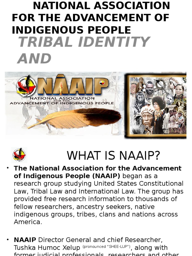 Empowering Indigenous Identity | PDF | Indigenous Peoples | Native ...