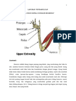 DETEKSI FRAKTUR HUMERUS