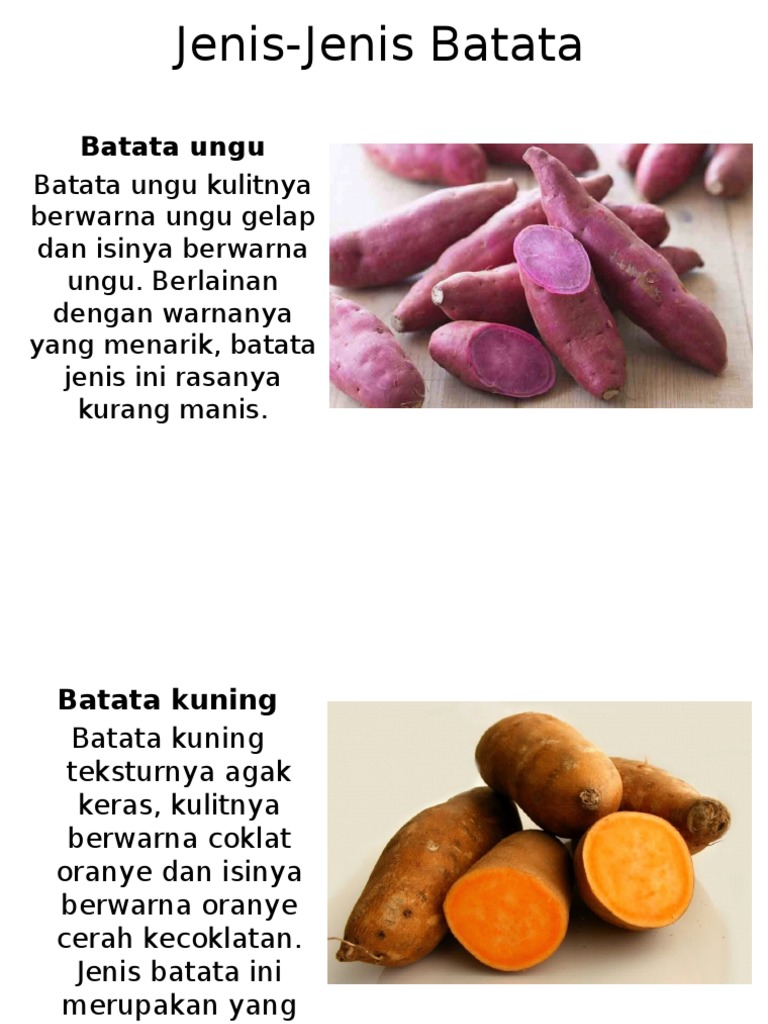 Jenis Jenis Batata | PDF