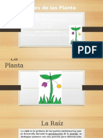 Partes de Las Planta FIORELLA