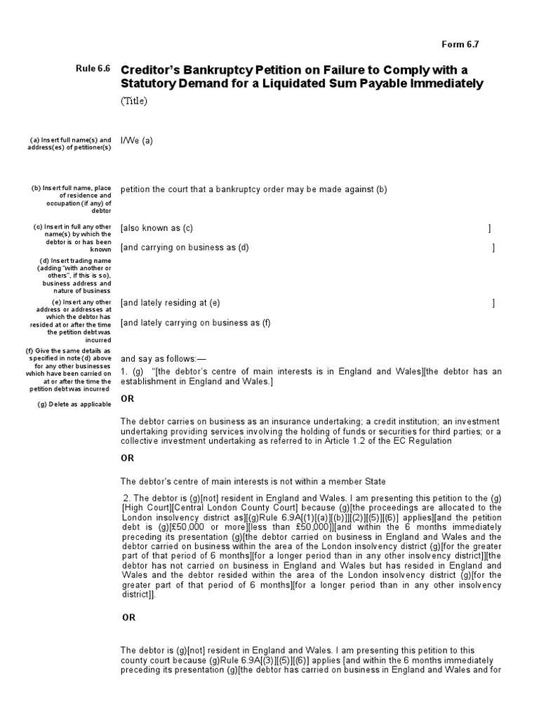 Form6-07new Bankruptcy Petition | PDF | Bankruptcy | Personal Finance