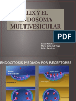 Alix y El Endosoma Multivesicular
