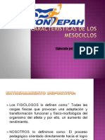 p curso CARACTERISTICAS DEL MESOCICLO.pdf