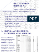 07 Jawless Fishes
