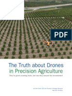The Truth About Drones 