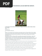Download LONTARA PANANRANG by sukardi SN320354681 doc pdf