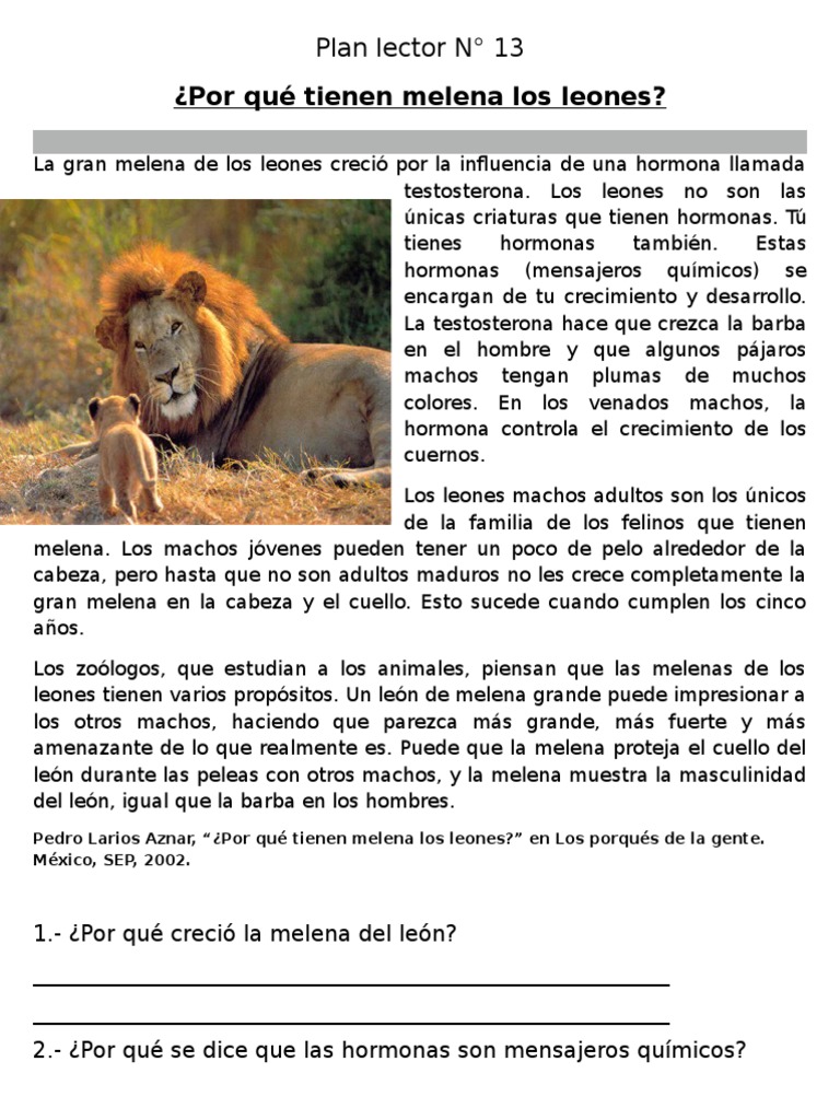 Lecturas 1 | PDF | Mamíferos | Roedor