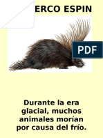 El Puerco Espin