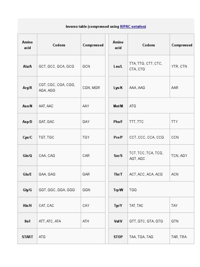 DNA Codon and Amino Acid Chart | PDF
