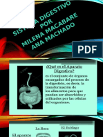 320377149-Diapositiva-El-Sistema-Digestivo (1).pptx