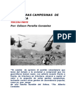 Las Guerras Campesinas de Villarrica - Tercera Parte