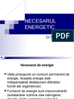 Necesarul Energetic