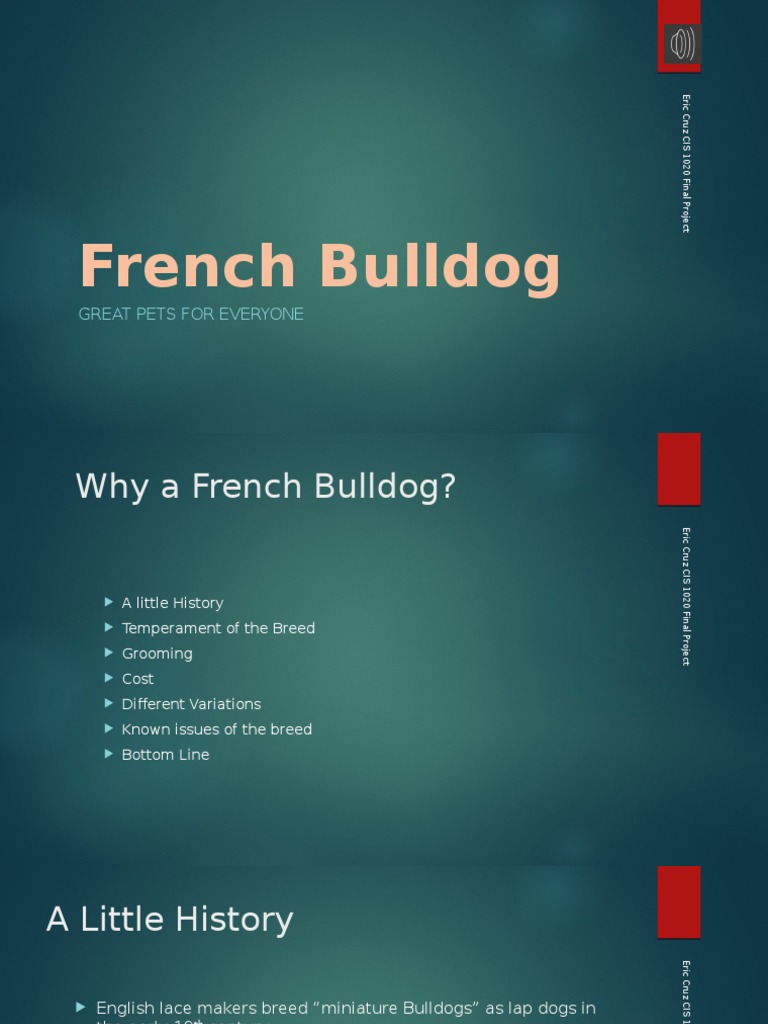 French Bulldog Care Guide | PDF