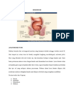 Hemoroid