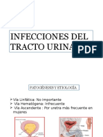 Infeccion tracto urinario
