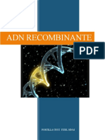 Adn Recombinante