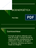Biologia PPT - Bioenergetica
