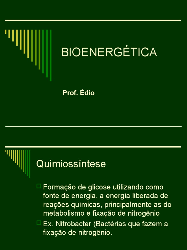 Biologia PPT - Bioenergetica | PDF