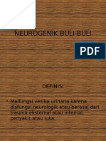 NEUROGENIK BULI-BULI: Gejala, Penyebab, dan Penanganannya