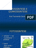 Biologia PPT - Botânica - Fotossíntese e Quimiossíntese