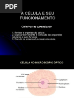 Biologia PPT - Célula e seu Funcionamento