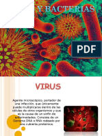 Virus y Bacterias Ok