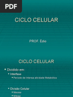 Biologia PPT - Ciclo Celular Mitose e Meiose