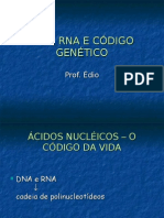Biologia PPT - DNA e RNA
