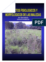 aspectosfisiologicosymorfologicosdemalezas.pdf