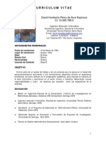 CV - David Perez - Tecnico Instrumentista PDF