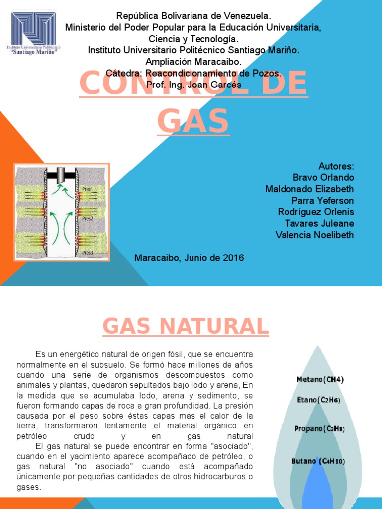 Composición y Control del Gas Natural | PDF | Depósito de petróleo | Gases
