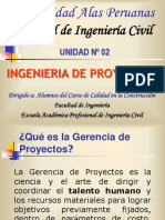 11 Ingenieria de Proyectos