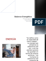 Balance Energético