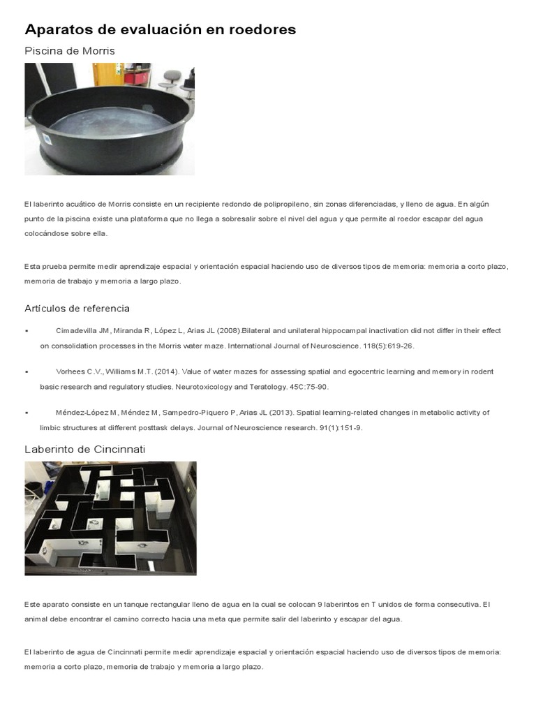 Aparatos de evaluación en roedores.docx | Memoria | Ciencias de la