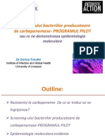 5_D_Timofte_Screening_implementation.pdf