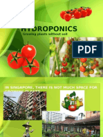 Hydroponics 