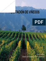 Plantacion PDF
