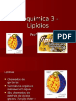 Biologia PPT - Lipídios