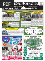 Download Wise Shopper by Napaul Publishers Inc SN32050673 doc pdf