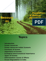 Forest Resources